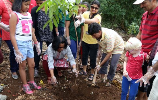 Mumbai team planting a tree