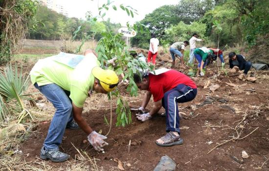 Mumbai team planting a tree