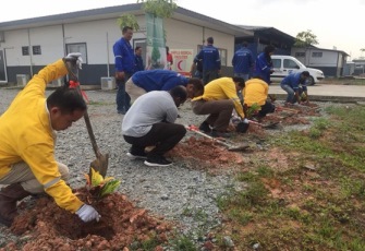 Tree planting in Malaysia